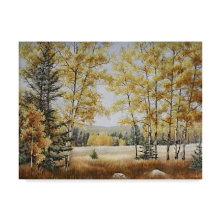 Carol J Rupp 'Fall Meadow' Canvas Art,14x19